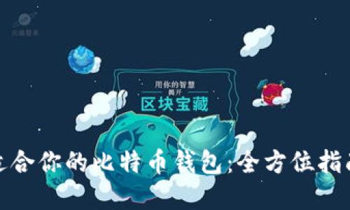 如何选择最适合你的比特币钱包：全方位指南与实用建议