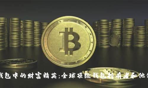 揭秘比特币钱包中的财富精英：全球顶级钱包持有者和他们的财富分布