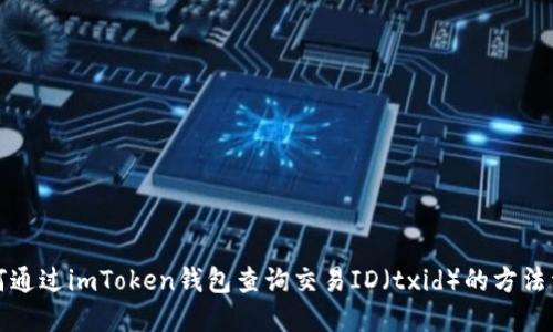 如何通过imToken钱包查询交易ID（txid）的方法详解