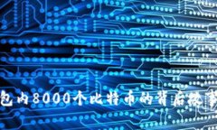 揭秘一个钱包内8000个比特