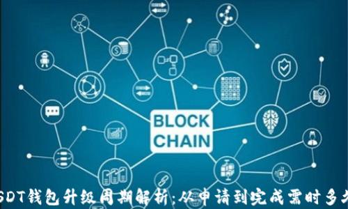 
USDT钱包升级周期解析：从申请到完成需时多久？