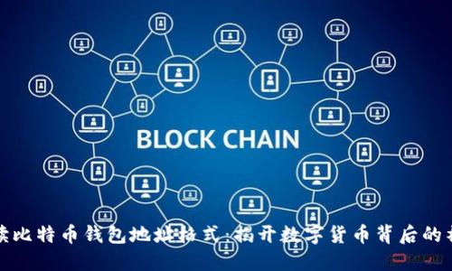 全面解读比特币钱包地址格式：揭开数字货币背后的神秘面纱