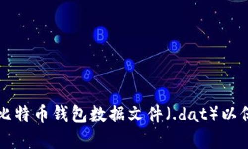 如何有效地加密比特币钱包数据文件（.dat）以保护你的数字资产