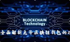 从零开始：全面解析兔子