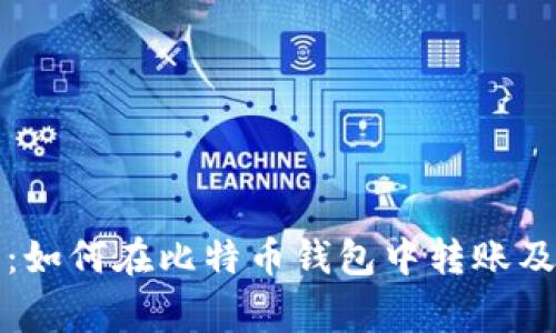 详细指南：如何在比特币钱包中转账及注意事项