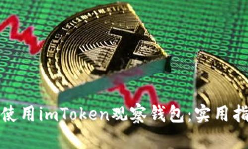 如何高效使用imToken观察钱包：实用指南与技巧