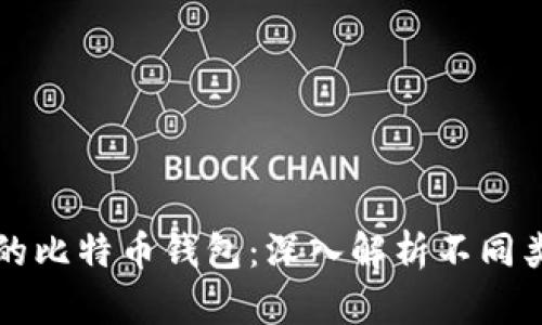 如何选择合适的比特币钱包：深入解析不同类型及其优缺点