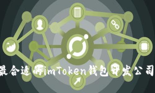如何选择最合适的imToken钱包开发公司：全面指南