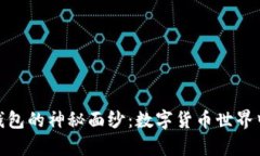 揭开比特币无主钱包的神秘面纱：数字货币世界