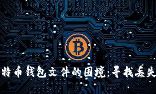 如何应对遗失比特币钱包文件的困境：寻找丢失资产的实用指南