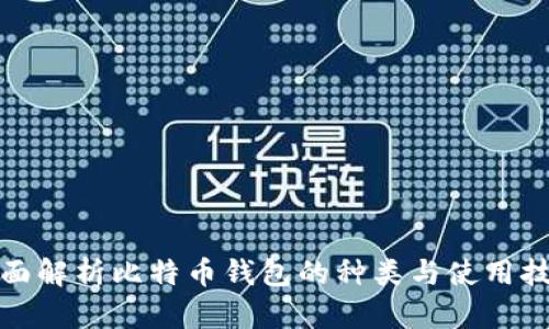 全面解析比特币钱包的种类与使用技巧
