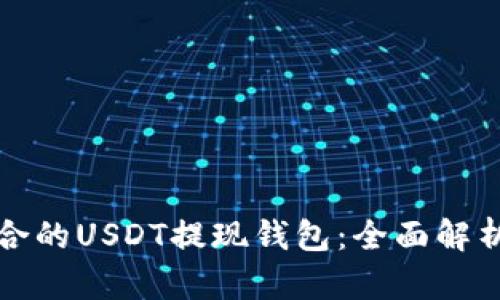 选择适合的USDT提现钱包：全面解析与推荐