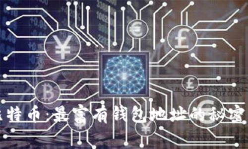深入探索比特币：最富有钱包地址的秘密与背后故事