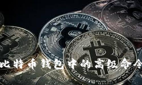 全面解析比特币钱包中的高级命令及其应用