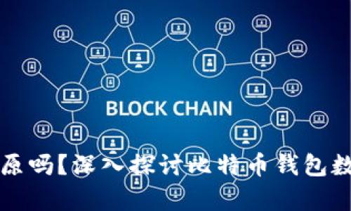 比特币钱包文件可以复原吗？深入探讨比特币钱包数据恢复的可能性与方法