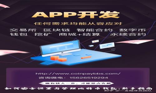 如何安全设置与管理比特币钱包：新手指南