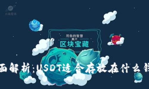  全面解析：USDT适合存放在什么钱包？