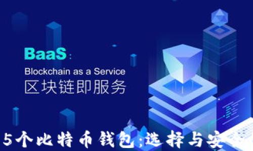 
全面解读75个比特币钱包：选择与安全的全面指南