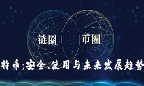 全面剖析比特币：安全、使用与未来发展趋势的深入探讨