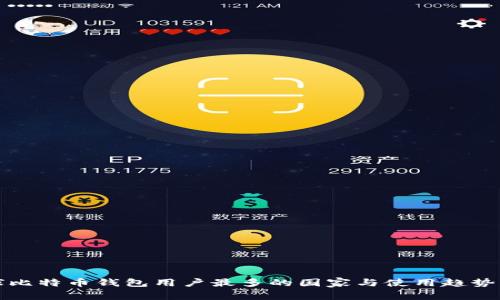 全球比特币钱包用户最多的国家与使用趋势分析