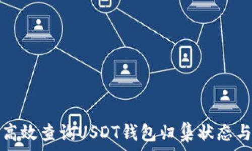   
如何高效查询USDT钱包归集状态与技巧