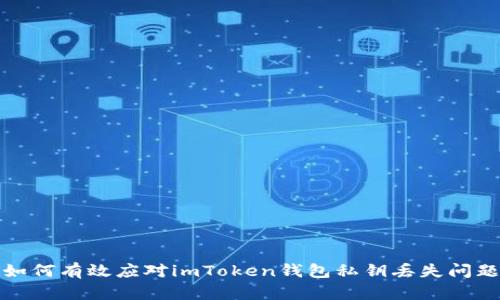  如何有效应对imToken钱包私钥丢失问题？