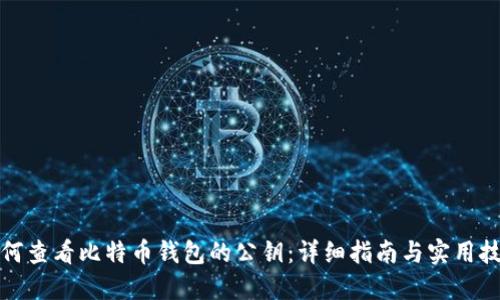 如何查看比特币钱包的公钥：详细指南与实用技巧