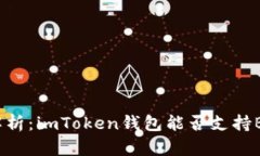 : 全面解析：imToken钱包能