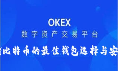 长期存储比特币的最佳钱包选择与安全性分析
