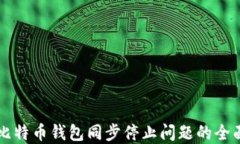 解决比特币钱包同步停止问题的全面指南