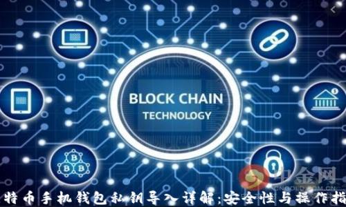 
比特币手机钱包私钥导入详解：安全性与操作指南