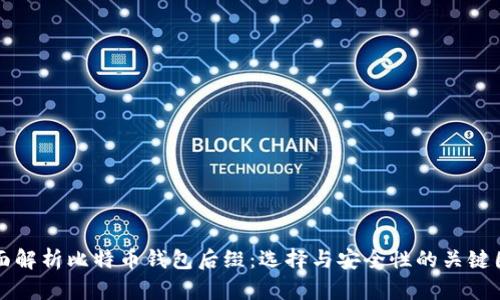 全面解析比特币钱包后缀：选择与安全性的关键因素