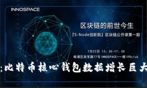 : 深入解析：比特币核心钱包数据增长巨大，如何应对？