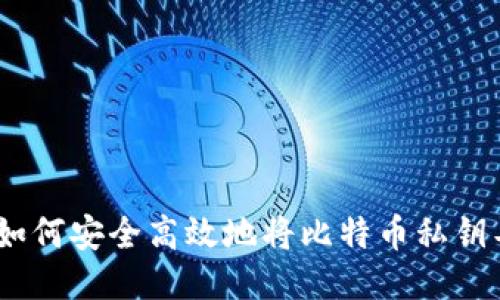 全面指南：如何安全高效地将比特币私钥导入冷钱包