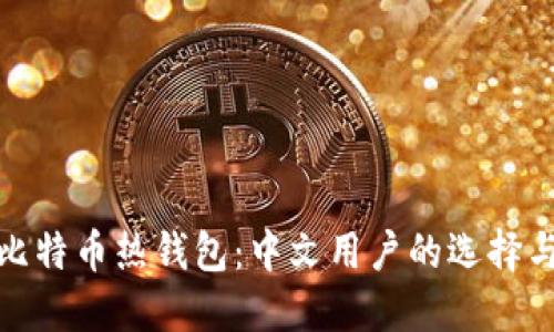 探索比特币热钱包：中文用户的选择与建议