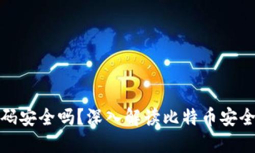 比特币钱包密码安全吗？深入解读比特币安全性及防护措施