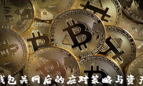 
imToken钱包关网后的应对策略与资产安全指南