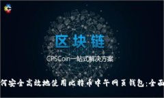 : 如何安全高效地使用比特币中午网页钱包：全面